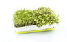 Micropod Homeware Micropod Microgreen Starter Kit - Grass | Dalston clothing