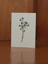 Walker & Bing Gift Card Walker & Bing Beach floral 4 Greeting Card